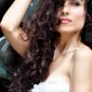 هالی‌کت